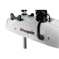 Электромотор HAIBO IPENGUIN P65 GPS 12V 53" (площадка+компас) в Южно-Сахалинске